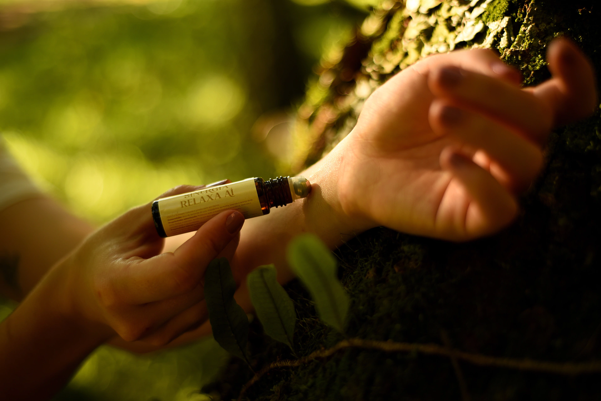 Banner da categoria Sinergias