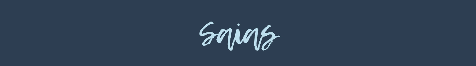 Banner da categoria Saias
