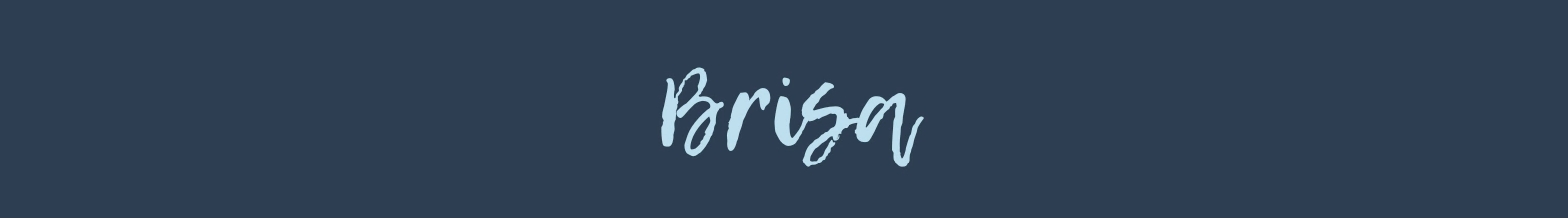 Banner da categoria Brisa