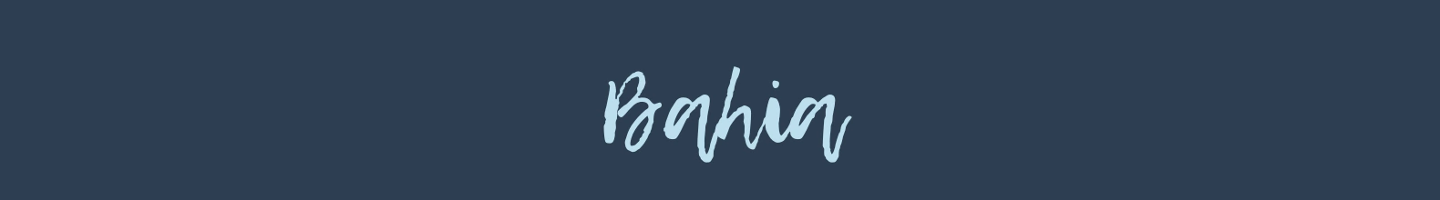 Banner da categoria Bahia