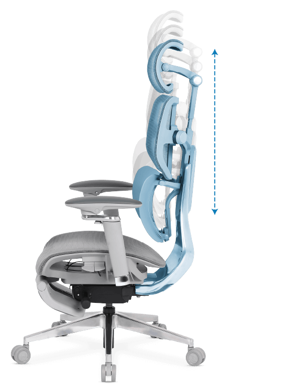 Ilustração 3D demonstrando destacando o encosto e a apoio lombar 2D.