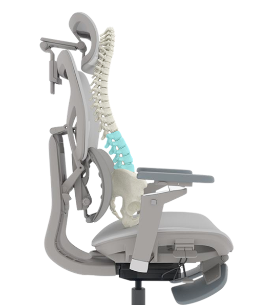 Cadeira ergonômica Glacius vista de perfil com sobreposição ilustrativa da coluna vertebral em destaque