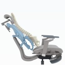 Ilustração da coluna vertebral apoiada pelo SpineSync Full em posição ereta