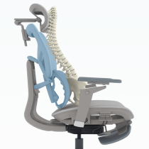 Ilustração da coluna vertebral apoiada pelo SpineSync Full em posição reclinada