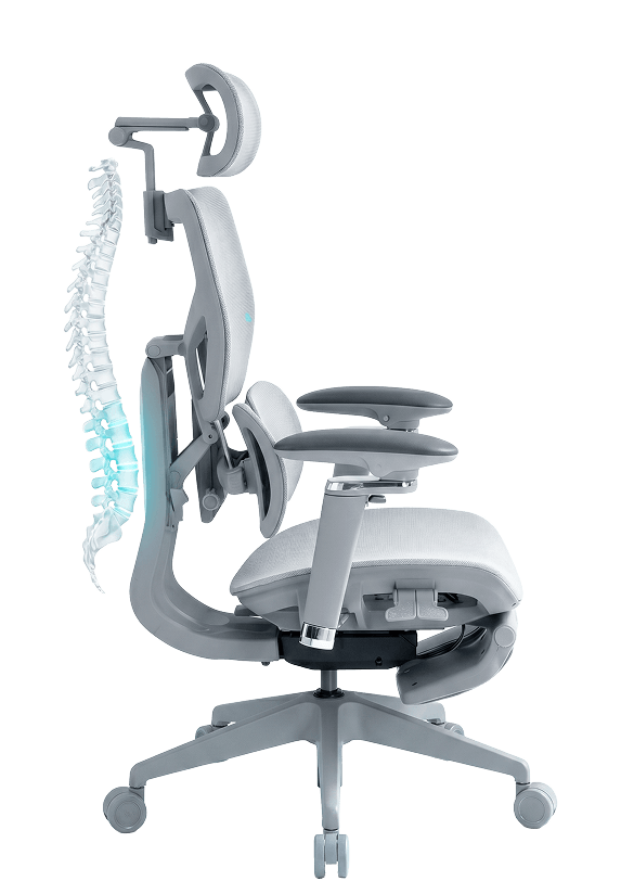 Cadeira ergonômica Glacius vista de perfil com sobreposição ilustrativa da coluna vertebral em destaque