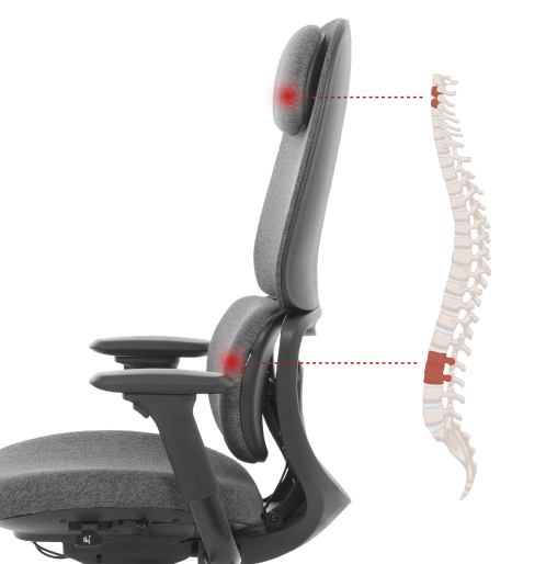 Infográfico da cadeira presidente DT3 Caeli mostrando o encosto ergonômico em sintonia com a coluna. À direita, uma ilustração da coluna vertebral alinhada aos pontos de pressão do encosto e apoio de cabeça, com texto explicativo sobre alinhamento lombar, conforto e performance.