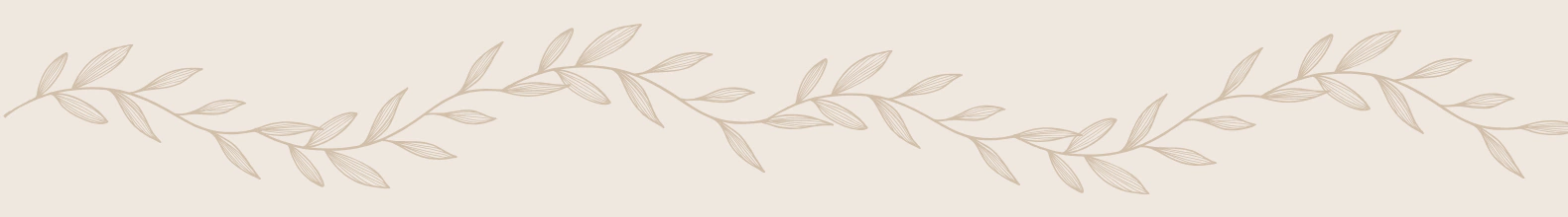 Banner da categoria Hortelã & Cupuaçu