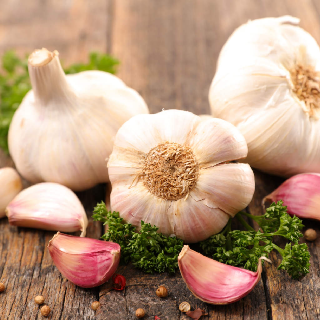 Alho e Cebola
