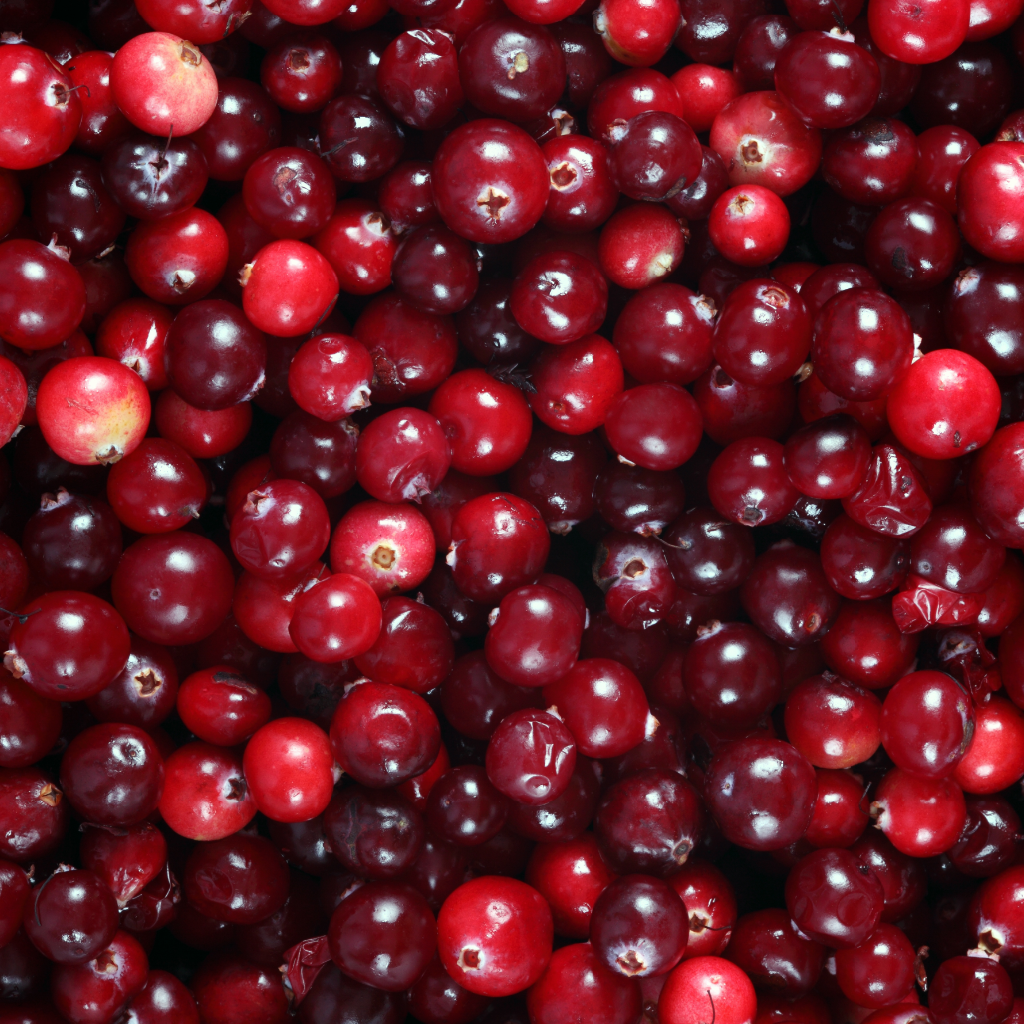 Cranberry desidratada