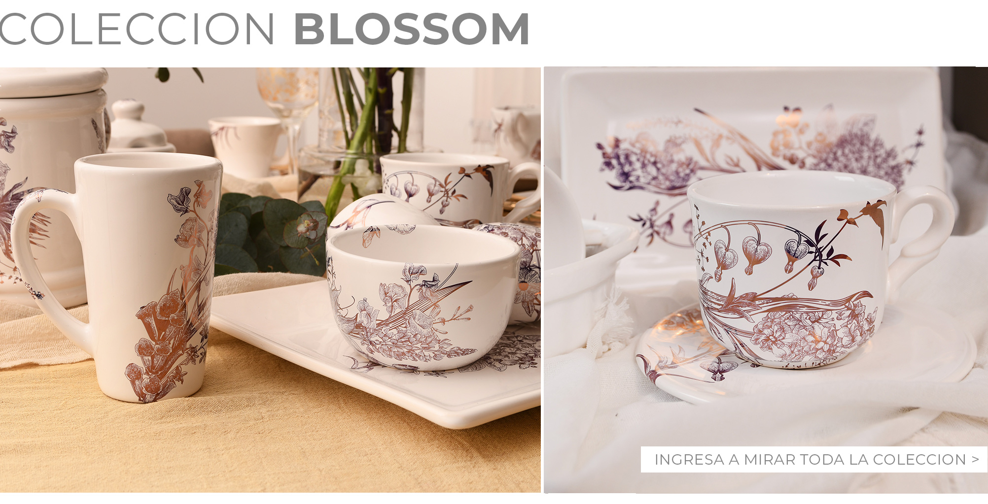 Blossom