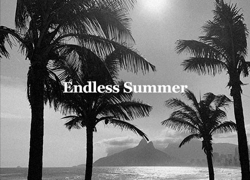 Bem vindo ao guia rápido de link da loja online Borogodó Is Here