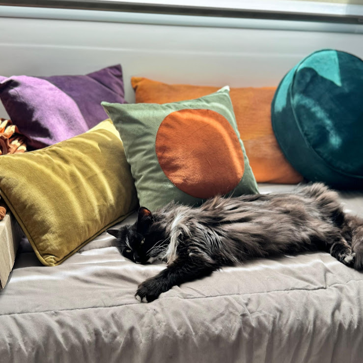 "Almohadones Mercado Turquesa en casa de clienta-Quilmes"