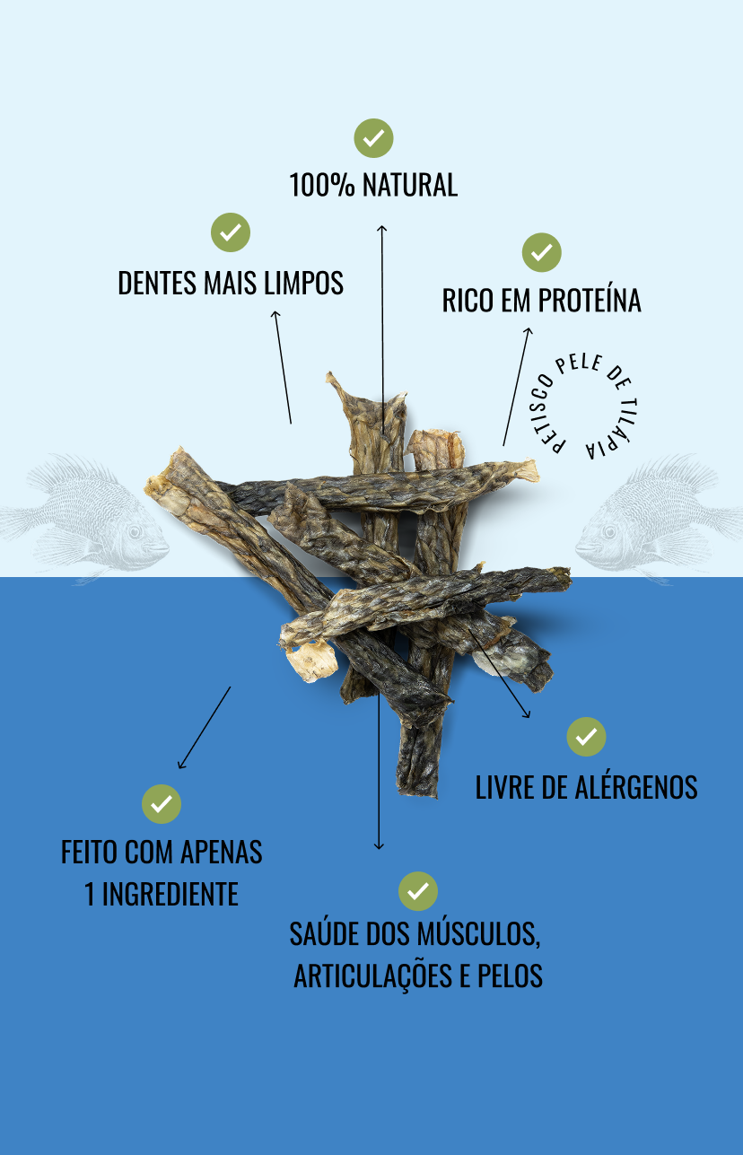 Banner de The Hungry Dog