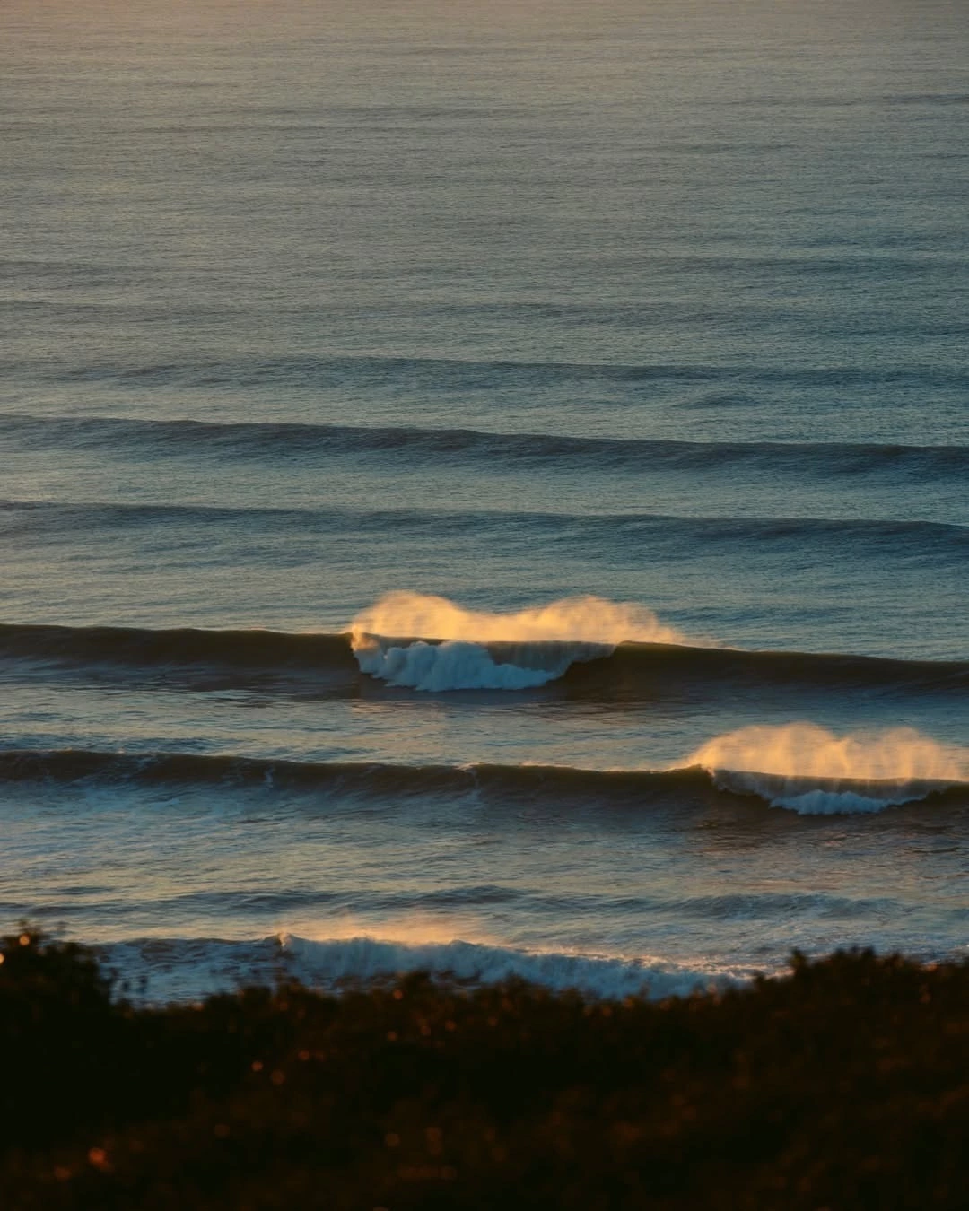 Banner de la categoría Gorras / Gorros