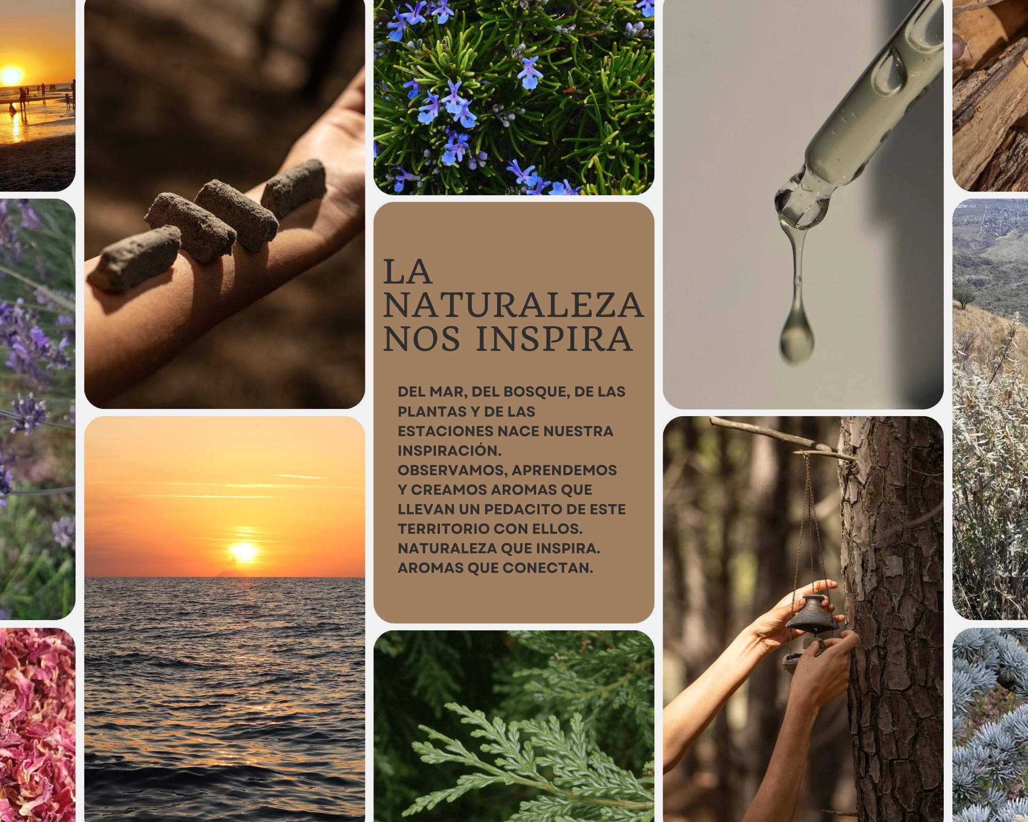 la naturaleza nos inspira