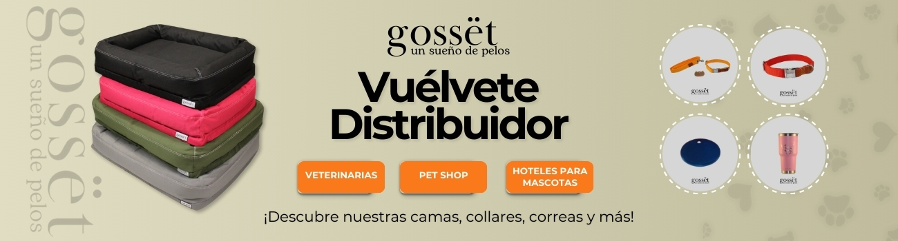 Banner Gossët Desktop