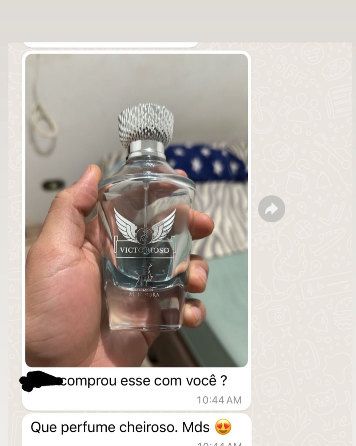 Depoimento WhatsApp 2