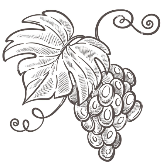 cepa-tradicional-logo