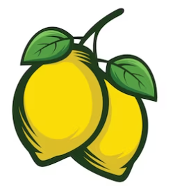 soleggio-logo