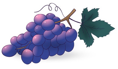 uvas-merlot-logo
