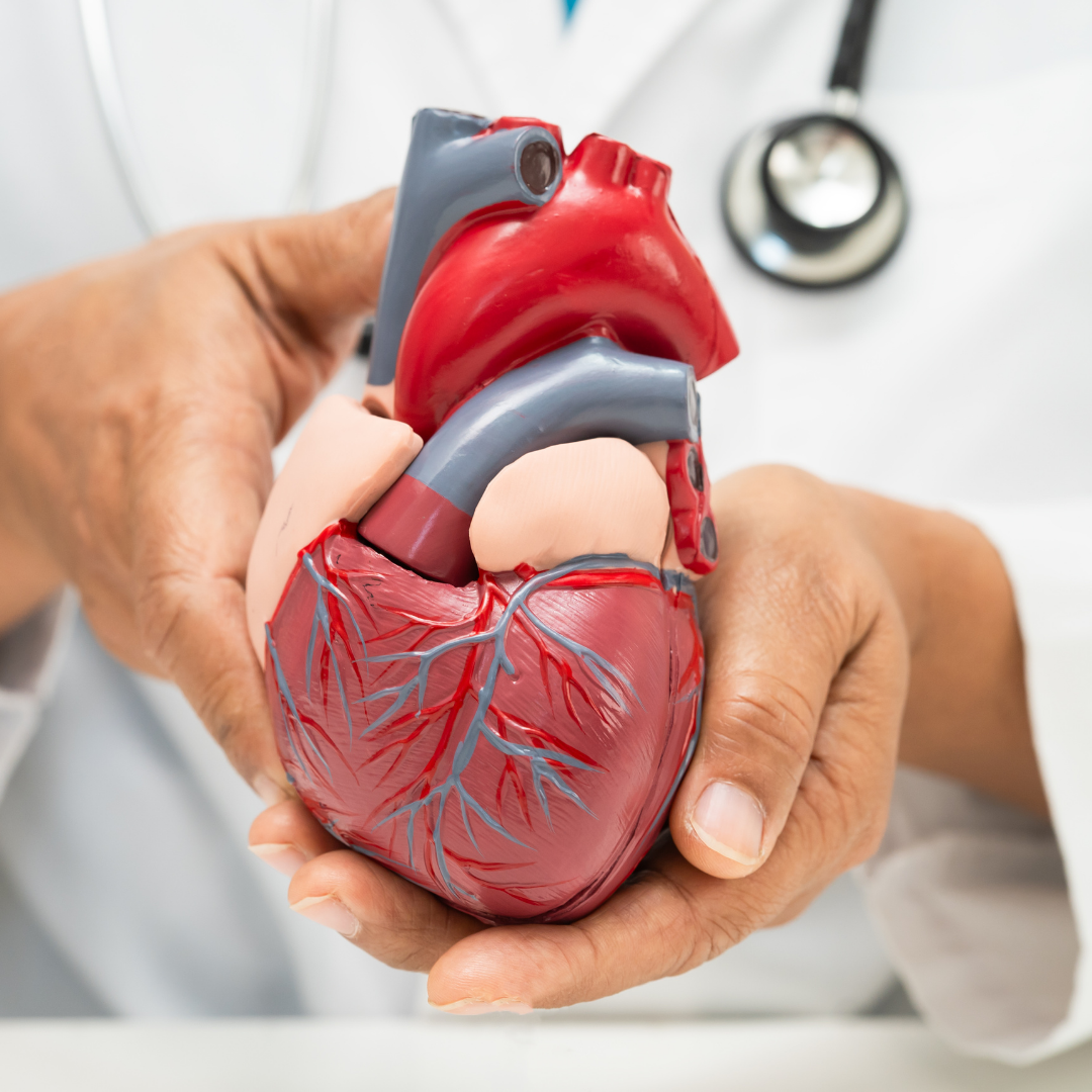 Sa&uacute;de do Cora&ccedil;&atilde;o