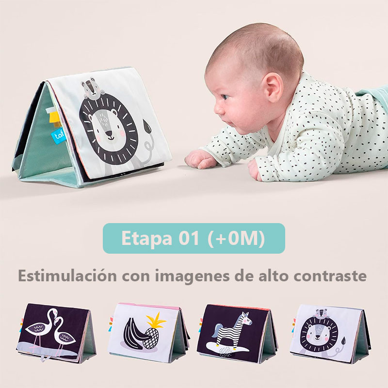 Espejo De Tummy Time Para Bebés De 0 A 6 Meses – Doble Cara Con Patrones De Alto Contraste Y Mordedor Desmontable