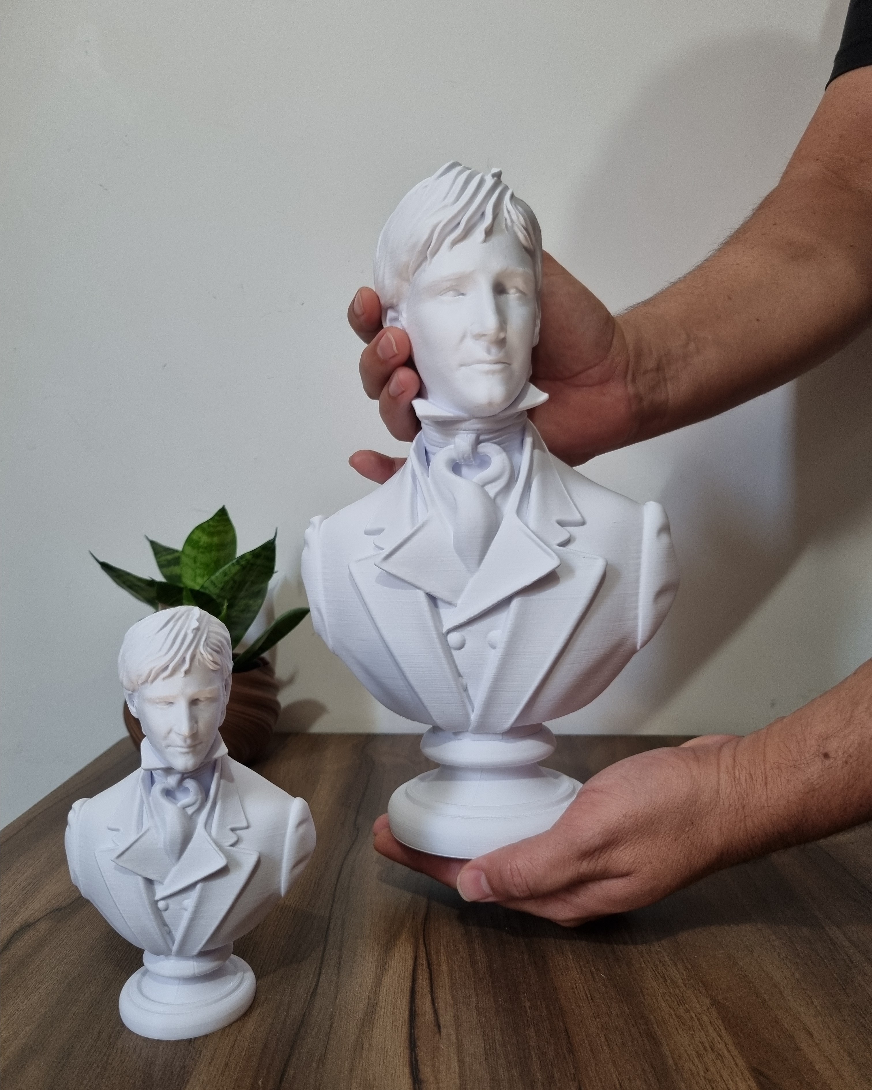 Busto Fitzwilliam Darcy | Orgulho e Preconceito | Vieco 3D Store