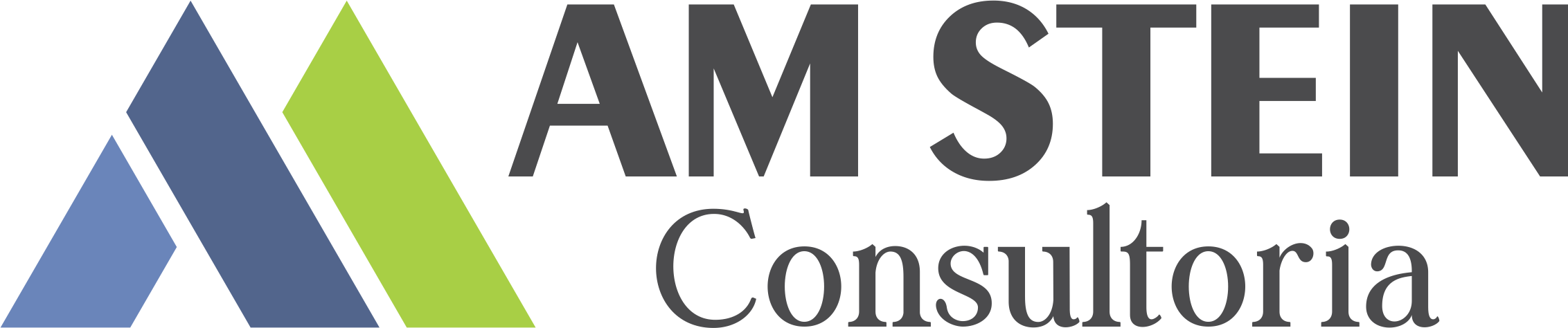 AM STEIN Consultoria