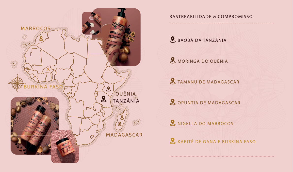 MAPA.png