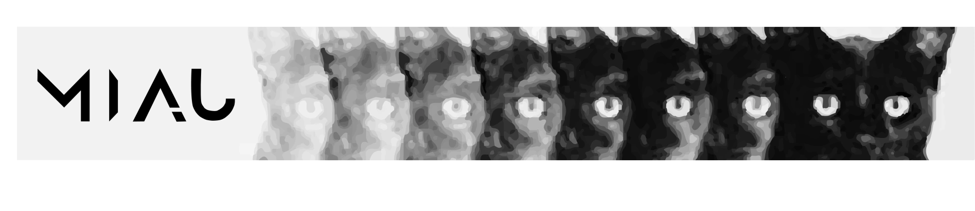 Banner da categoria MIAU CO.