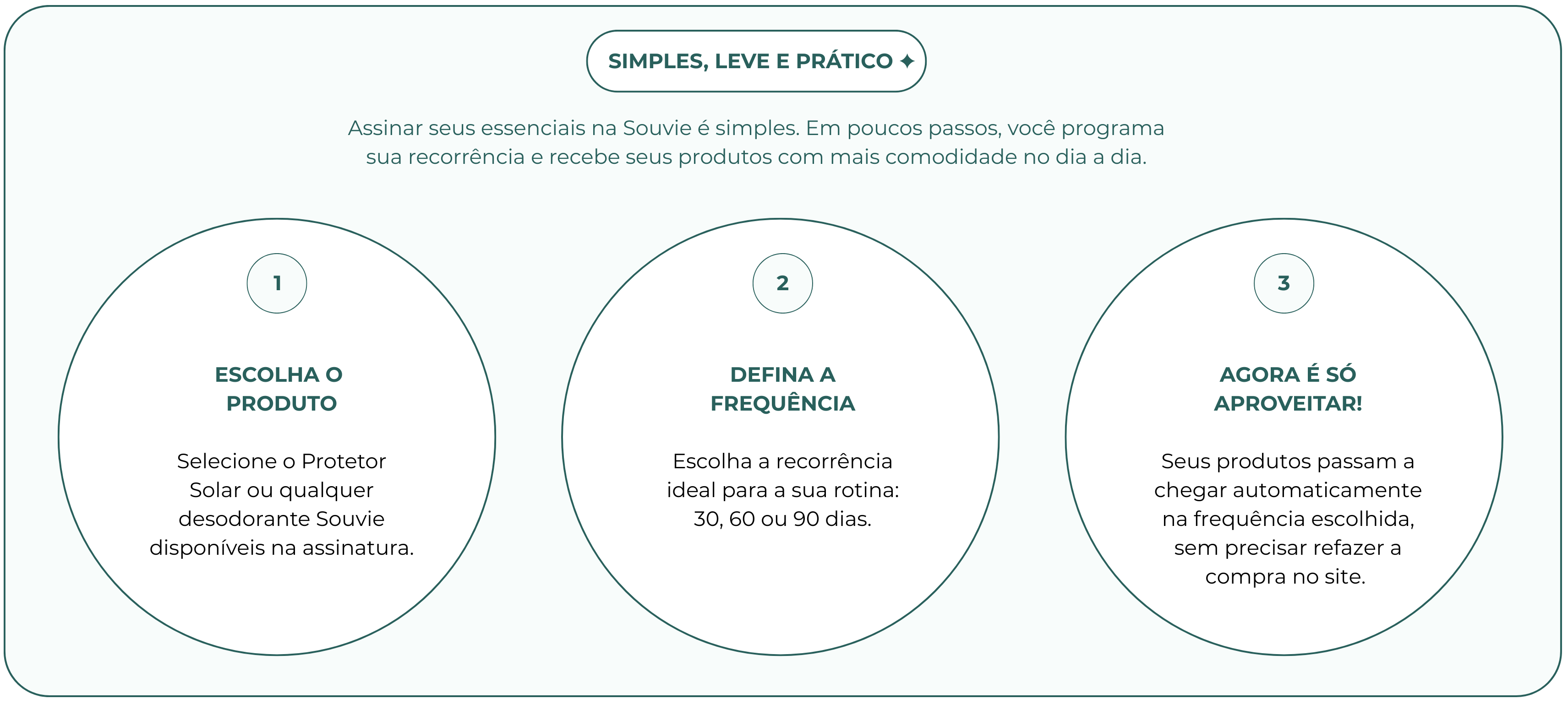 Como funciona a assinatura Souvie