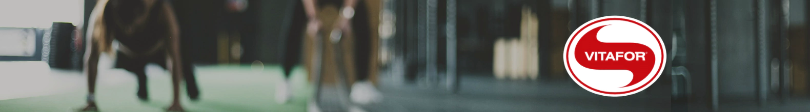 Banner da categoria VITAFOR