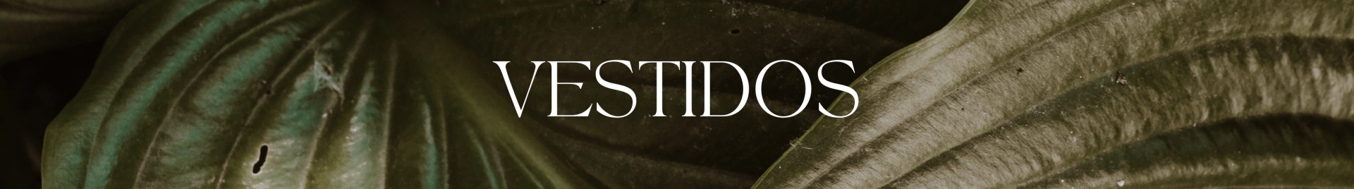 Banner da categoria Vestidos