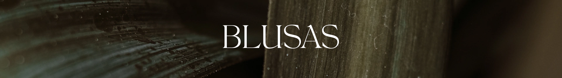 Banner da categoria Blusas