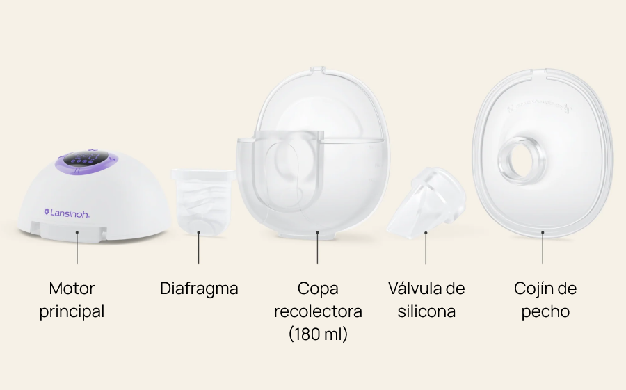 Componentes del Discreet Dúo