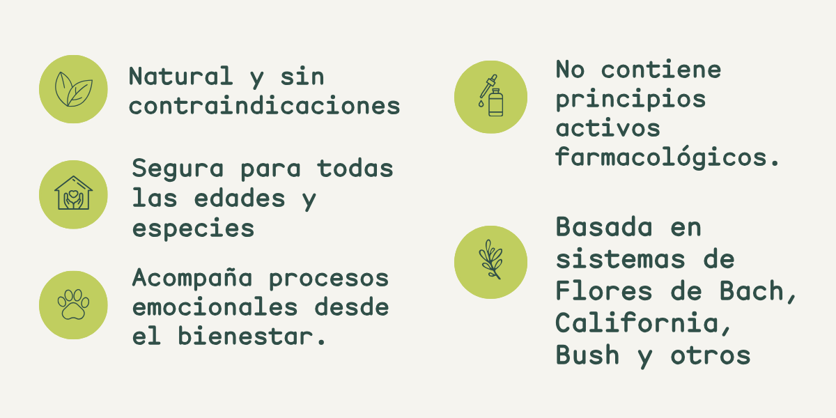 Beneficios Herbo Pets