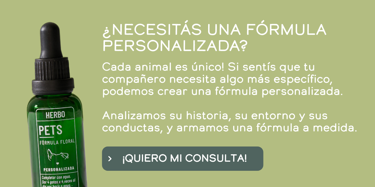 Formulas personalizadas herbo pets