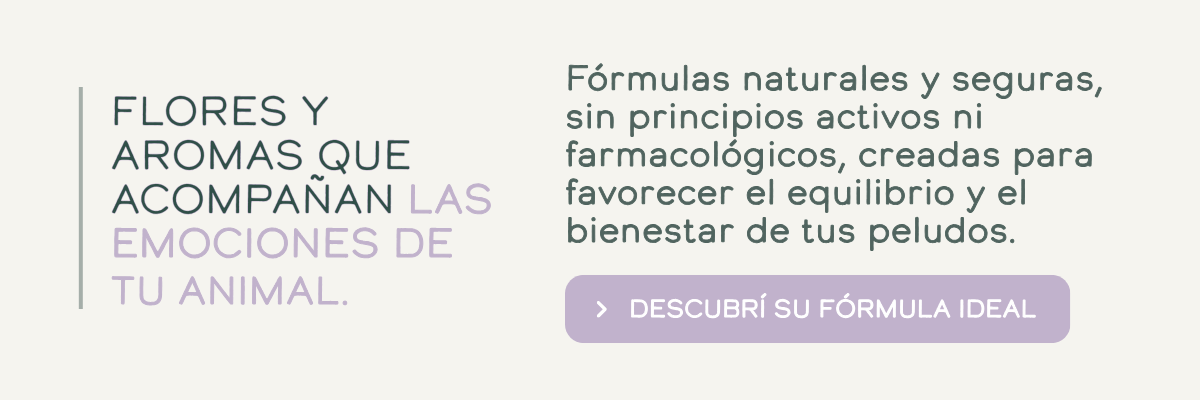 Presentacion formulas herbo pets