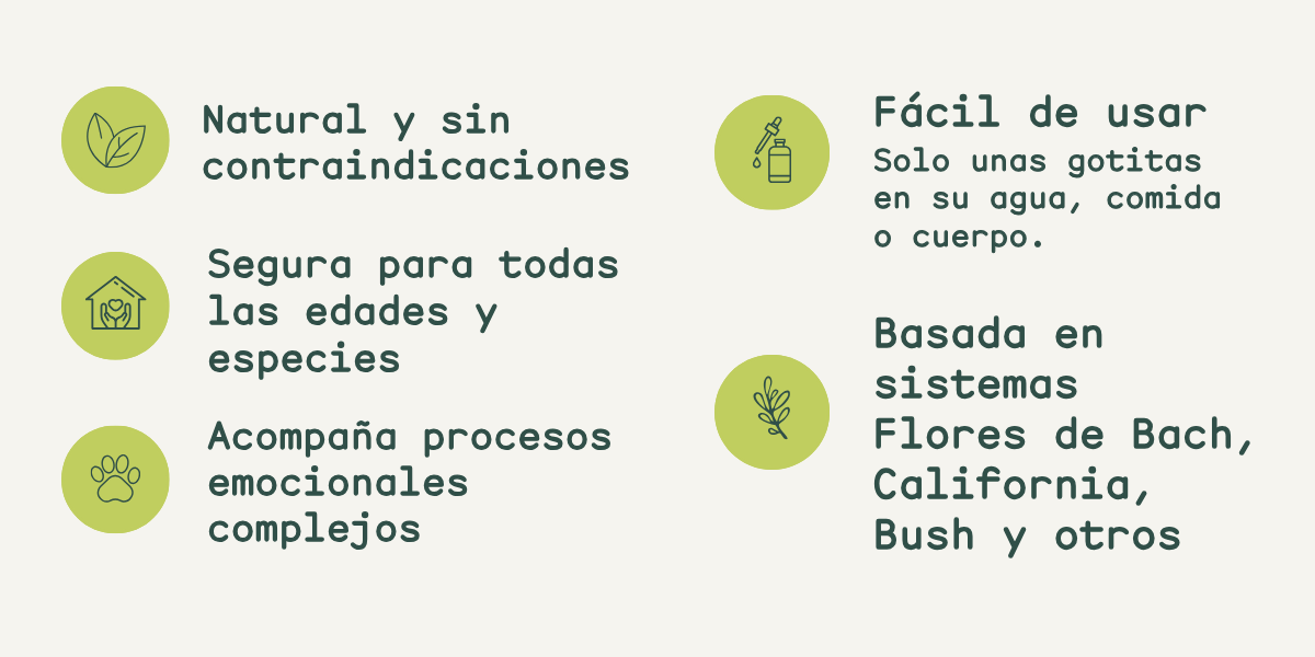Beneficios Herbo Pets