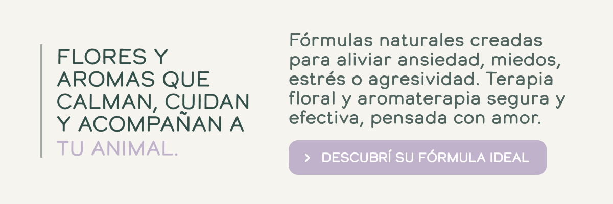 Presentacion formulas herbo pets