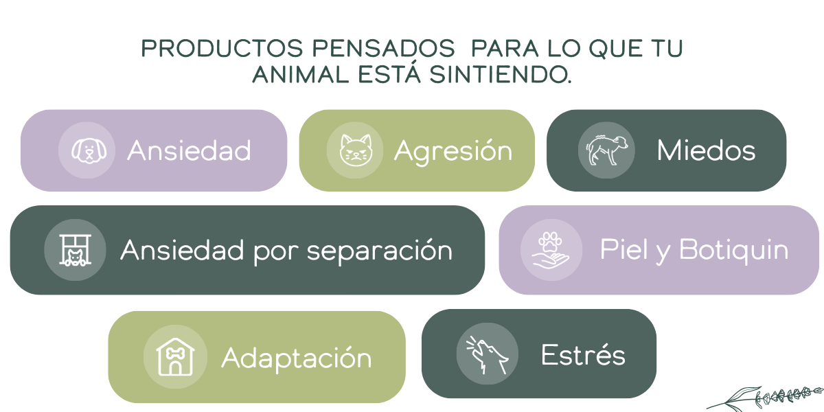 Problematicas de animales que trata Herbo Pets