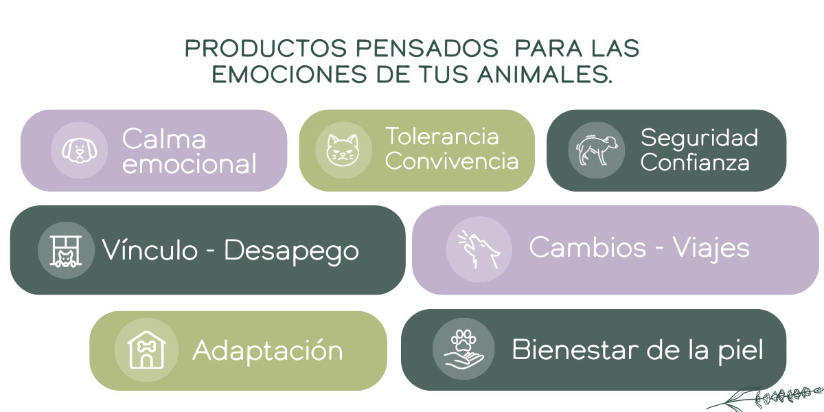 Problematicas de animales que trata Herbo Pets