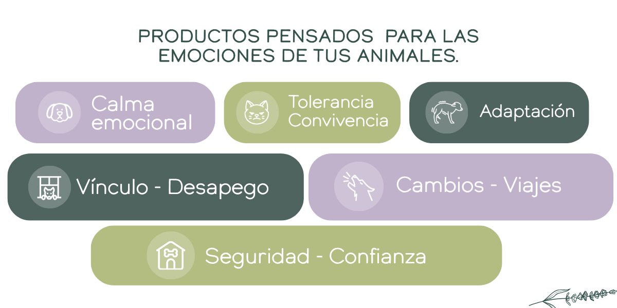 Problematicas de animales que trata Herbo Pets