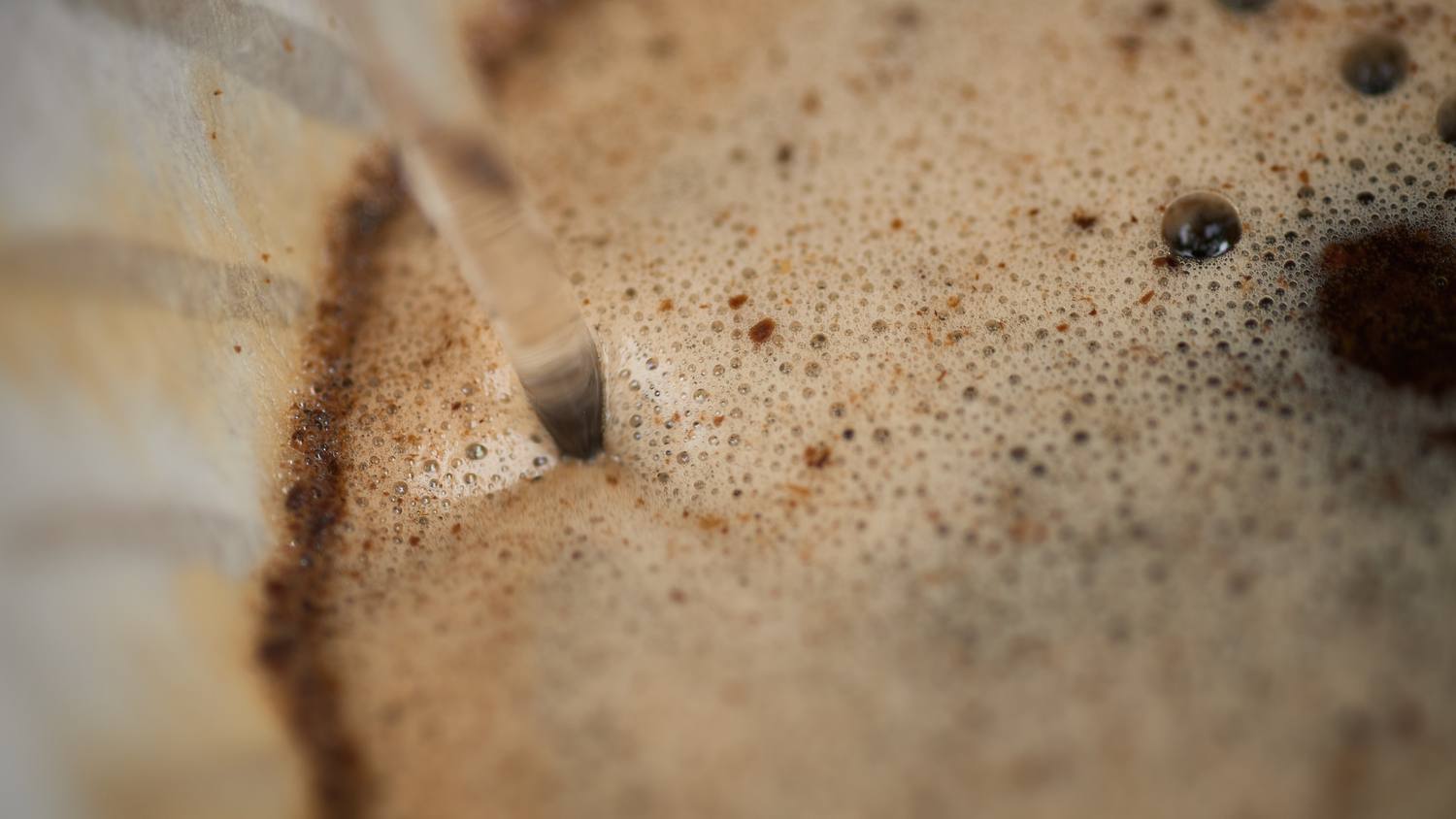 Caf&eacute; fresco florescendo no coador ao receber a &aacute;gua quente
