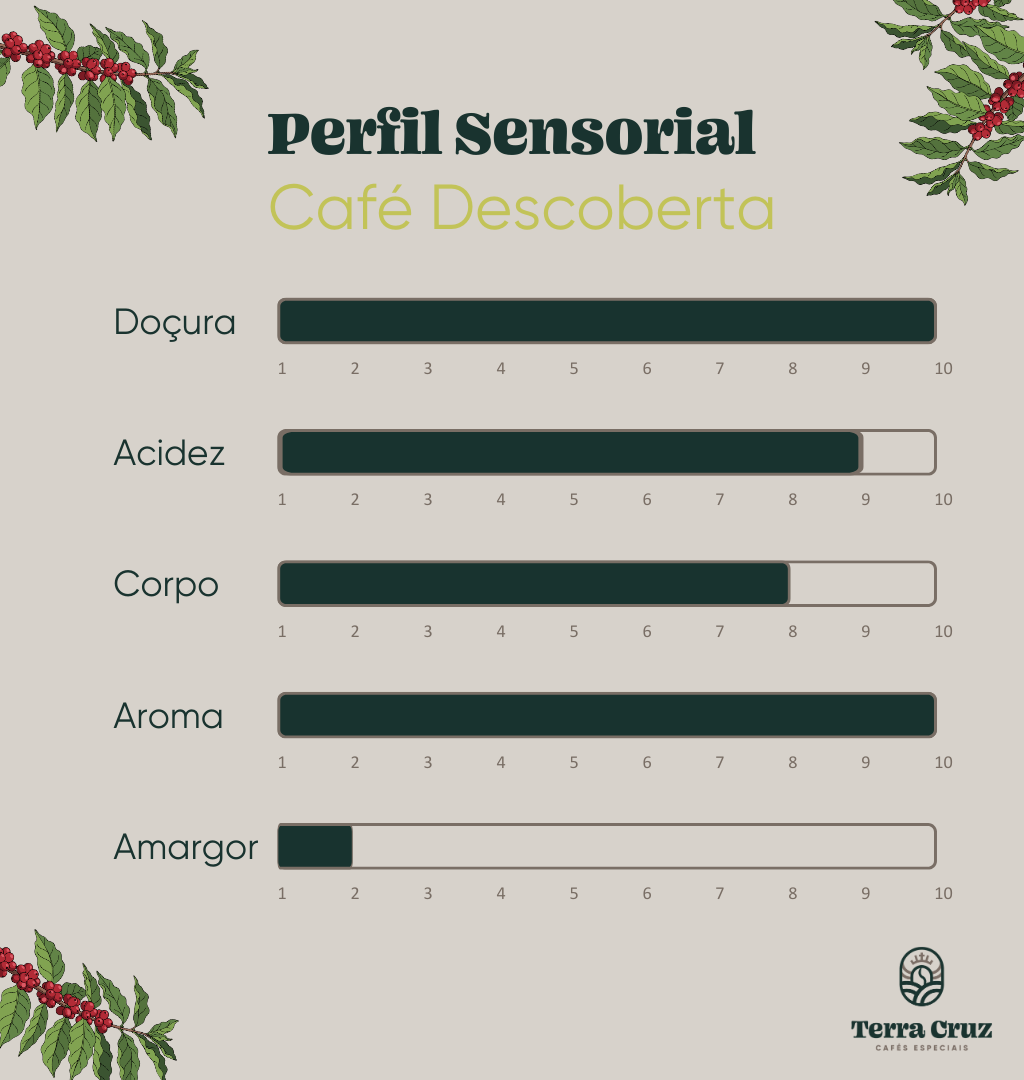 terracruzcafes_perfilsensorial_descoberta