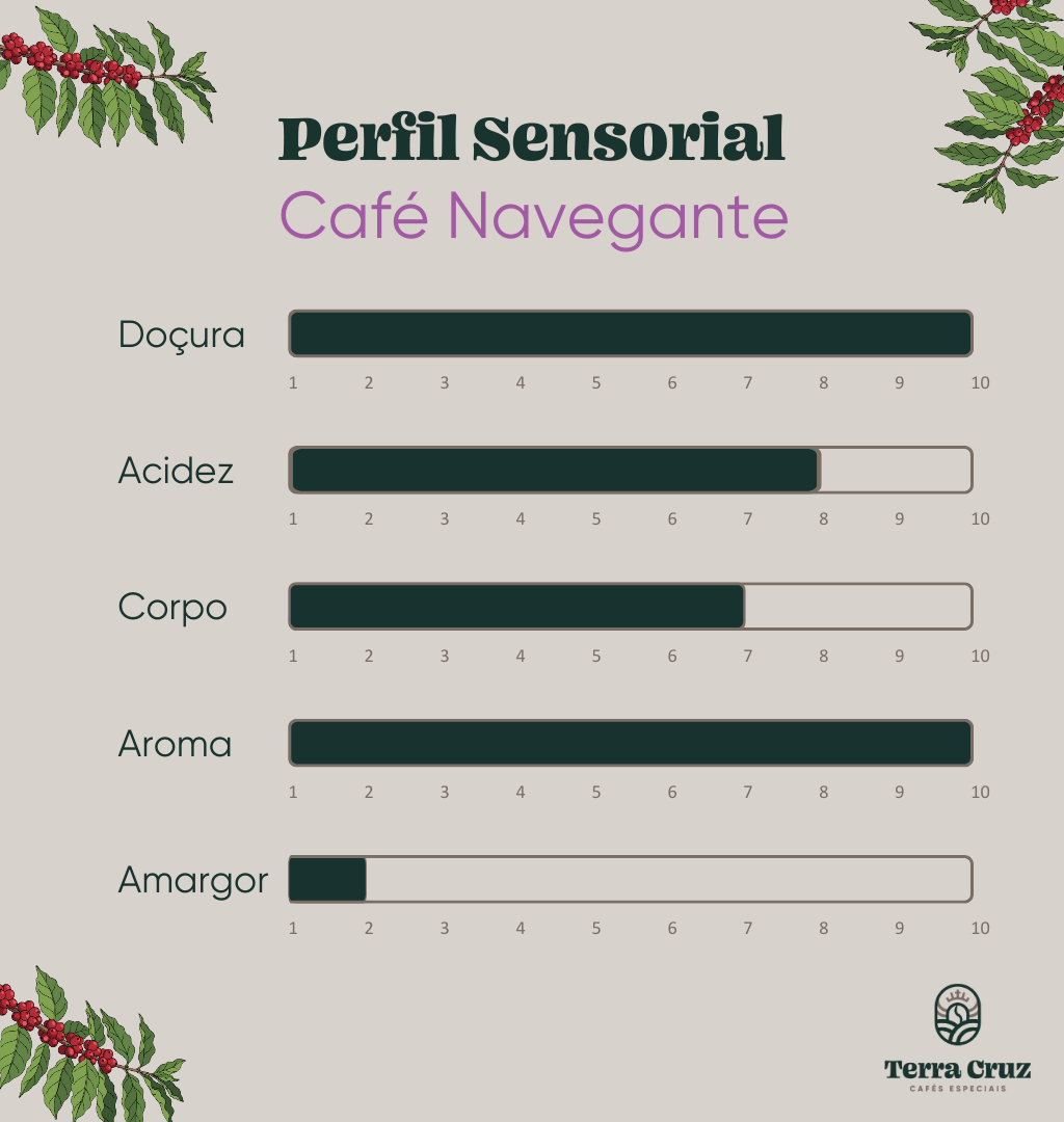 terracruzcafes_perfilsensorial_navegante