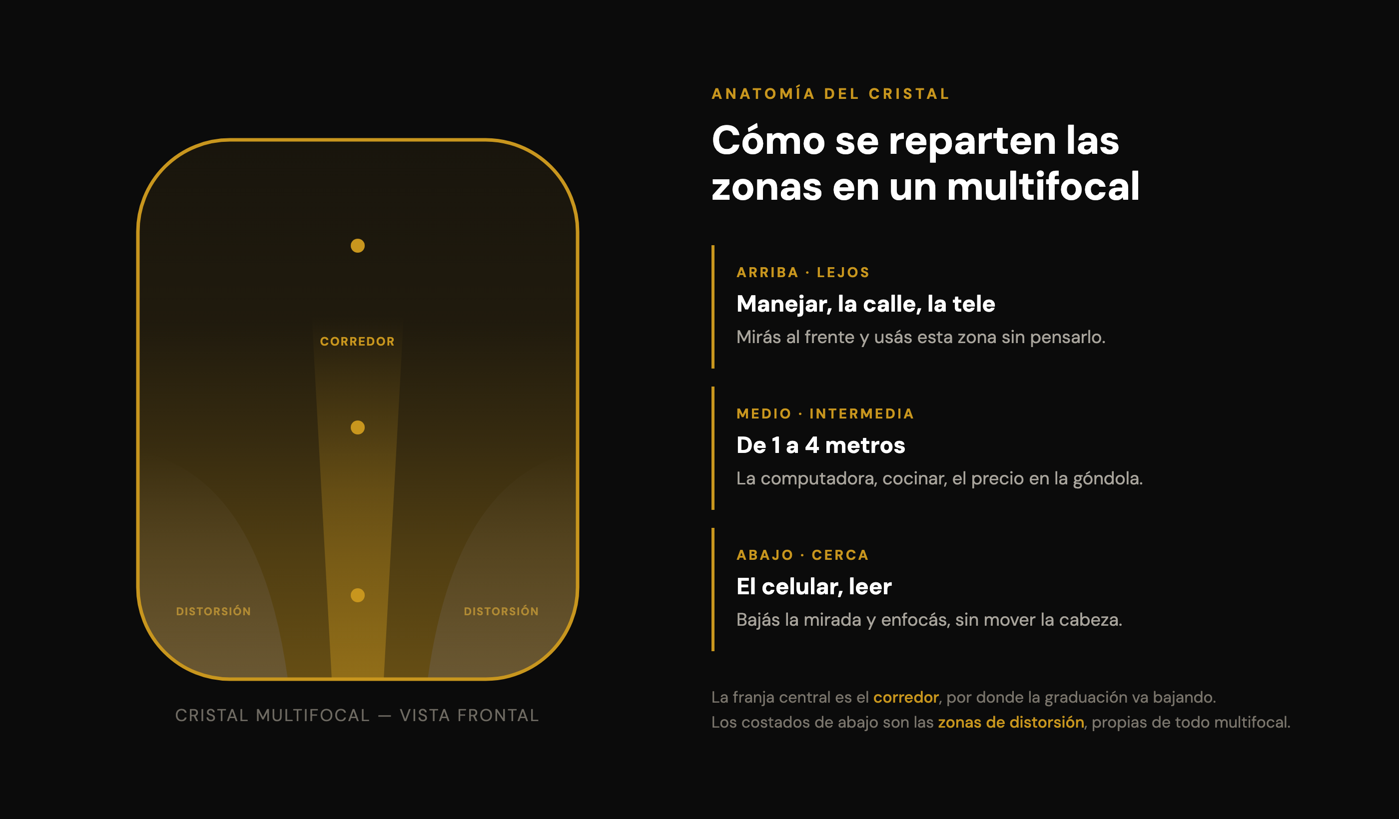 Esquema de un cristal multifocal visto de frente: zona superior para ver de lejos, zona intermedia de 1 a 4 metros y zona inferior para leer de cerca, con el corredor central y las zonas de distorsión de los costados