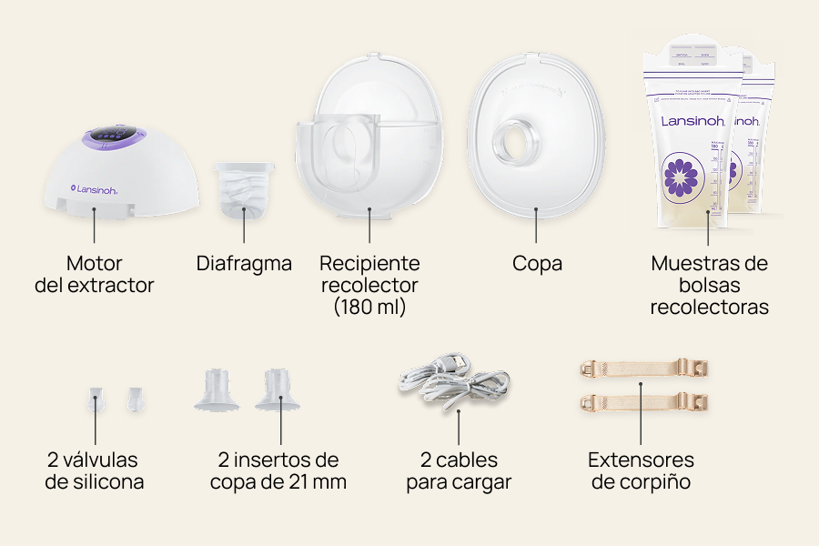 Componentes del Discreet Dúo
