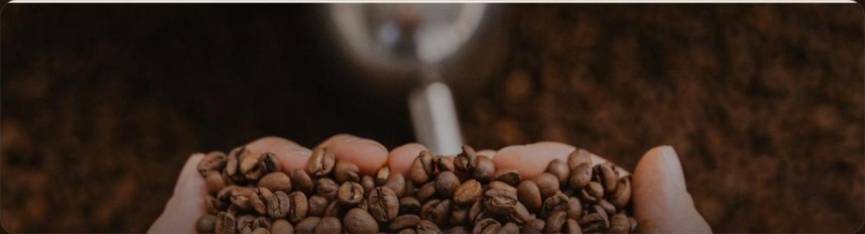 Mãos segurando grãos de café torrados