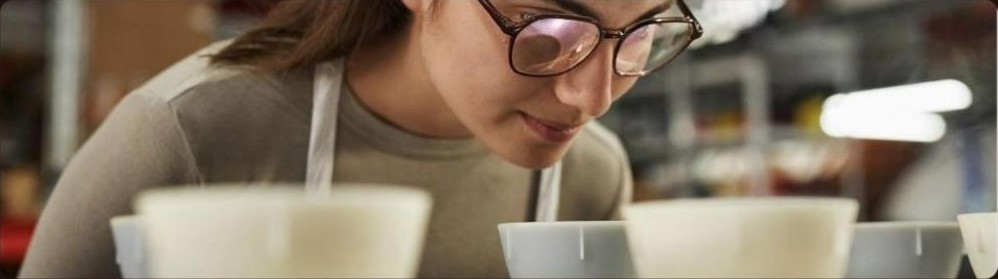 Barista avaliando xícaras de café especial